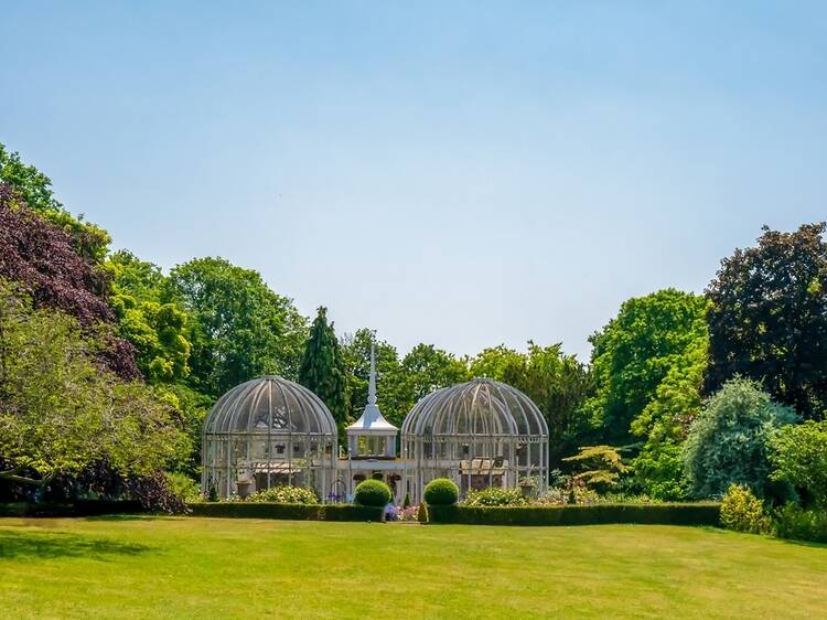 Birmingham has been named the first official Nature City in the UK – here’s what that means