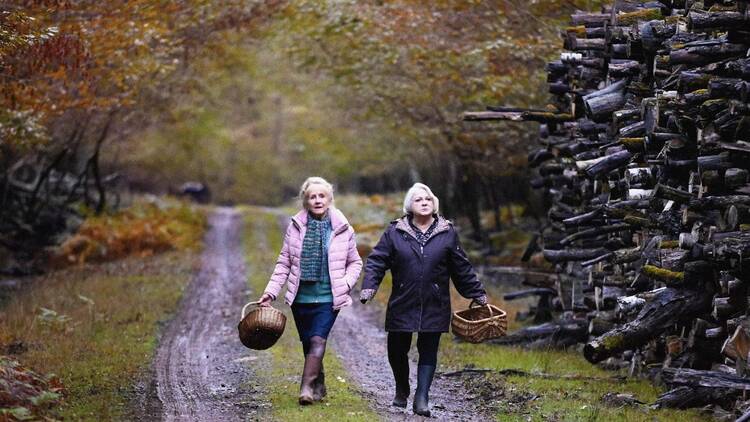 two women walking down path two women walking down path