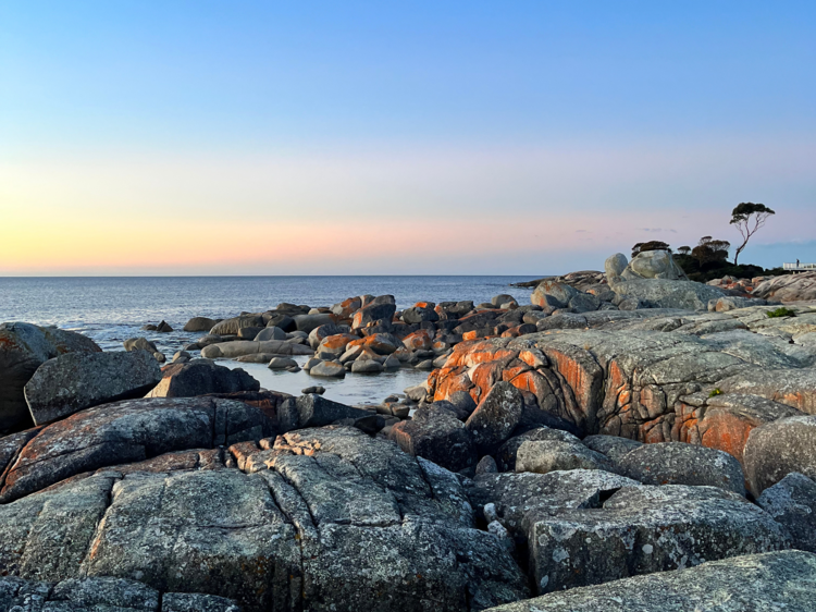 The best day trips from Hobart