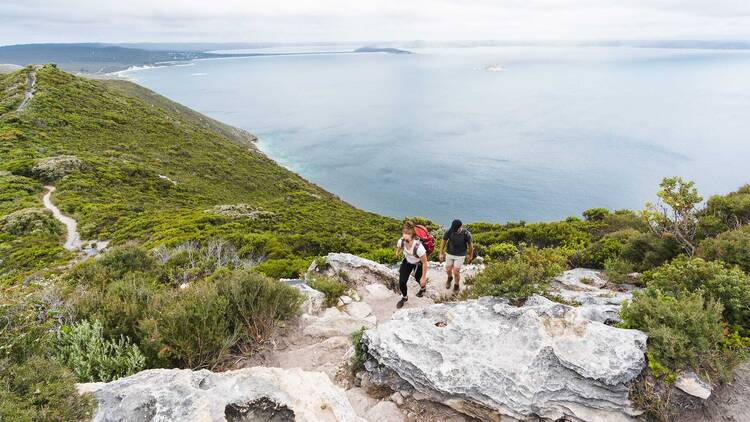 Do the Bald Head Walk Trail