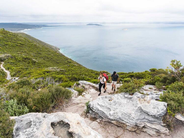 Do the Bald Head Walk Trail