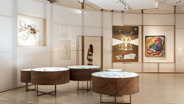 Vista de la exposición ‘Terrafilia. Más allá de lo humano en las Colecciones Thyssen-Bornemisza’