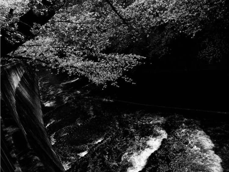 森⼭⼤道｜細江英公