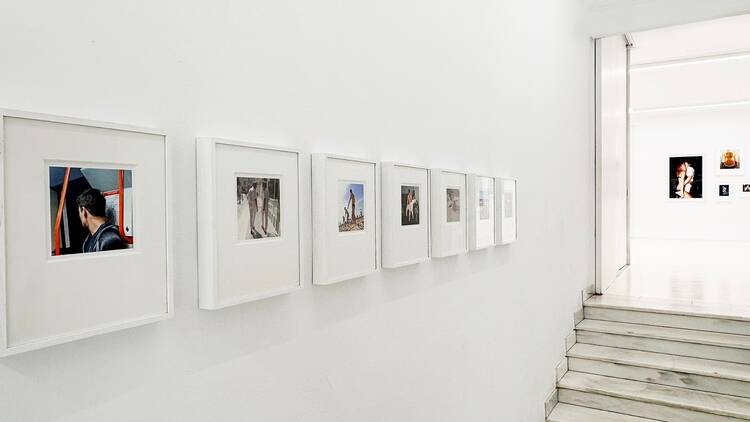 Galería Fernando Pradilla
