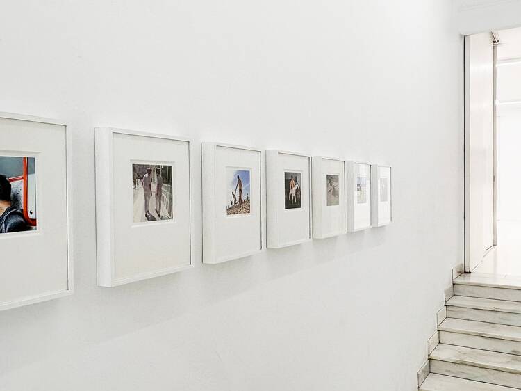 Galería Fernando Pradilla