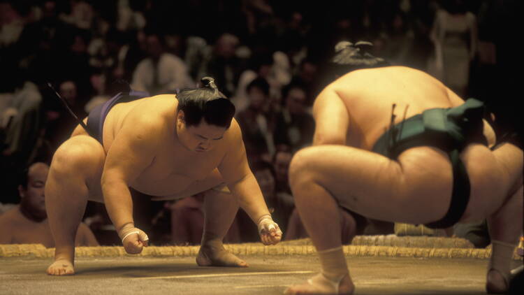 An undated stock photo of a sumo match
