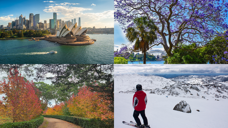 Sydney