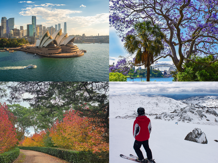The best things to do in Sydney and beyond based on your favourite season The best things to do in Sydney and beyond based on your favourite season