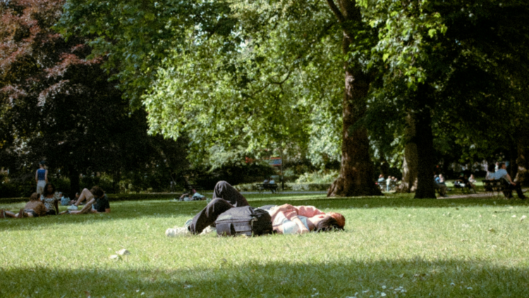 Descanso en un parque. Unsplash