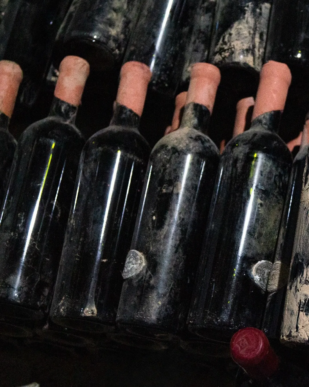 bodega-foster-lorca
