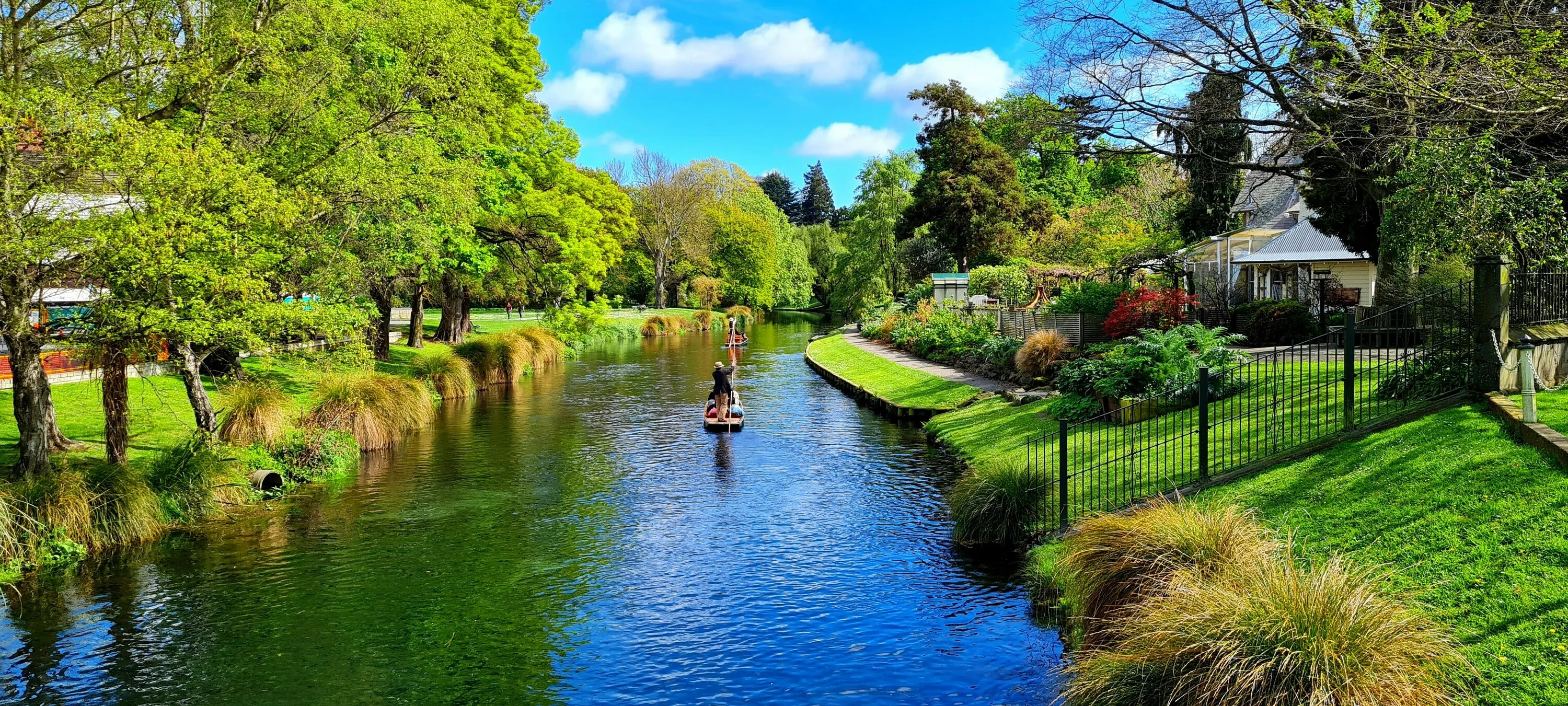 River surrounded by greenery
