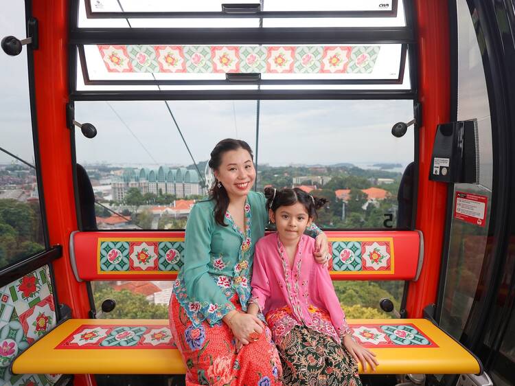 Peranakan-Inspired Cable Cars