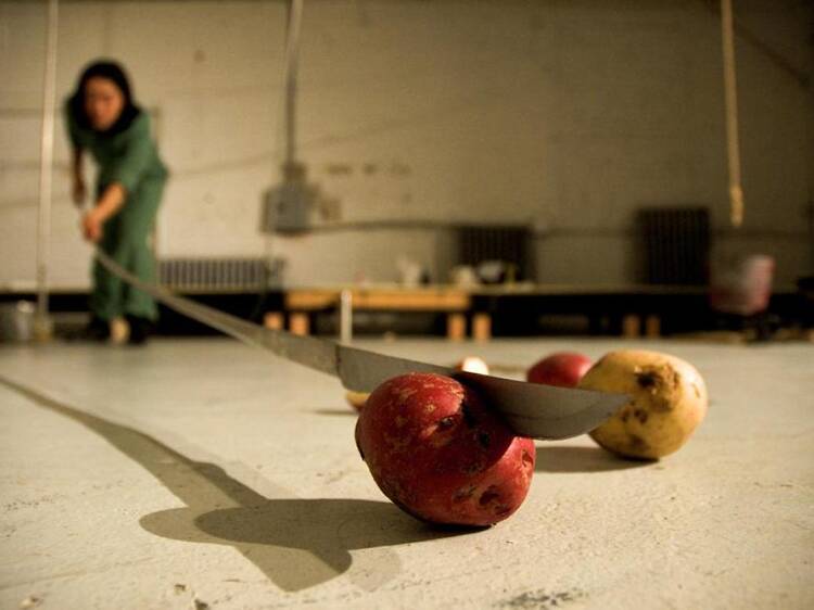 東京、8月に行くべきアート展5選