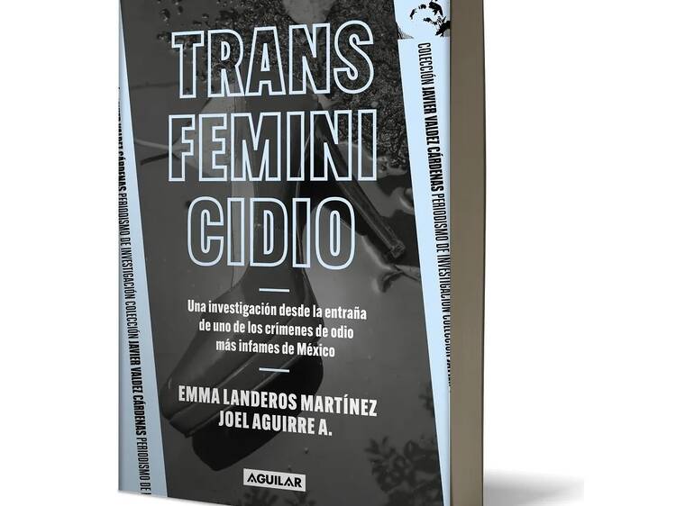 Transfeminicidios