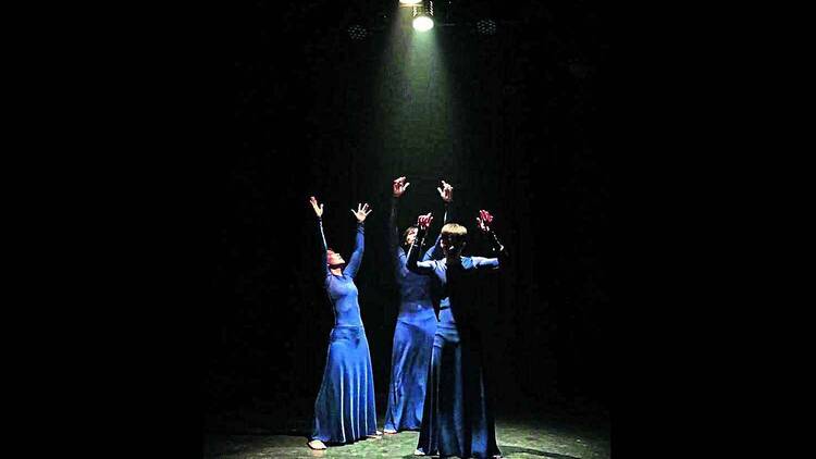 Echoes in Motion