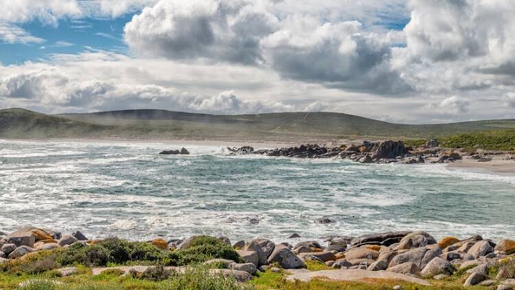West Coast National Park