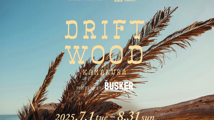 DRIFTWOOD