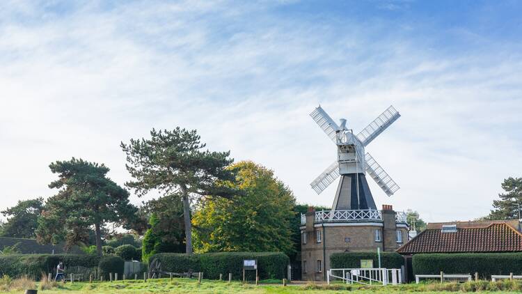 Lose track of time in Wimbledon Common