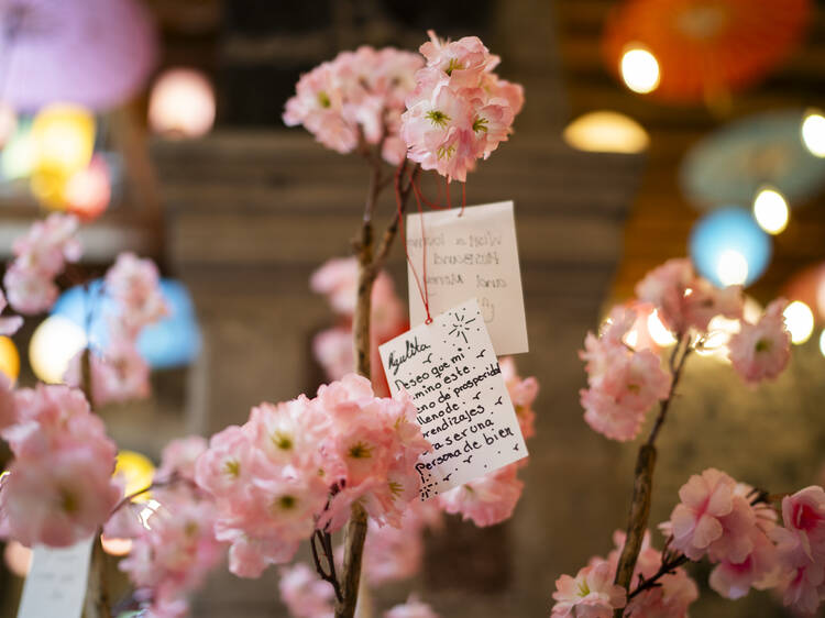 K-beauty Festival en Centro Histórico CDMX