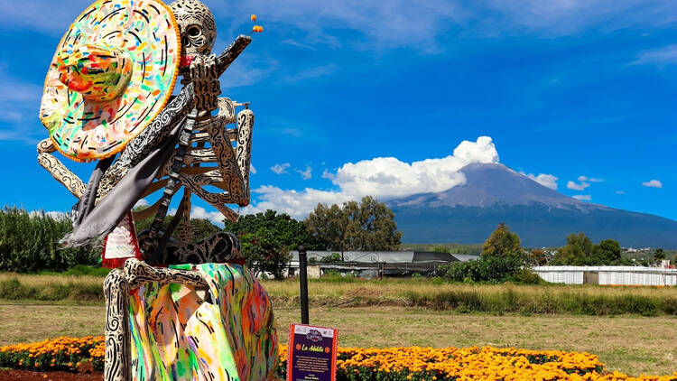 Asiste a este festival de Día de Muertos con 14 catrinas gigantes
