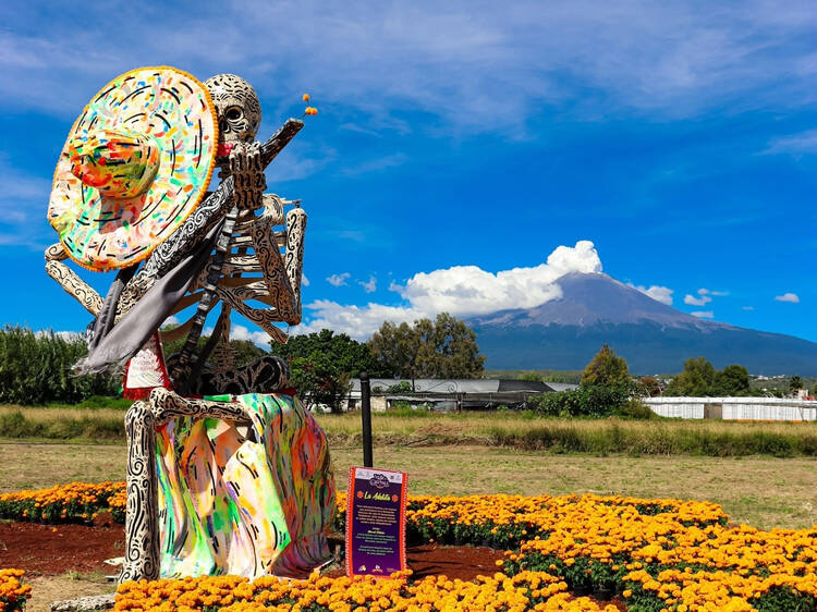 Asiste a este festival de Día de Muertos con 14 catrinas gigantes