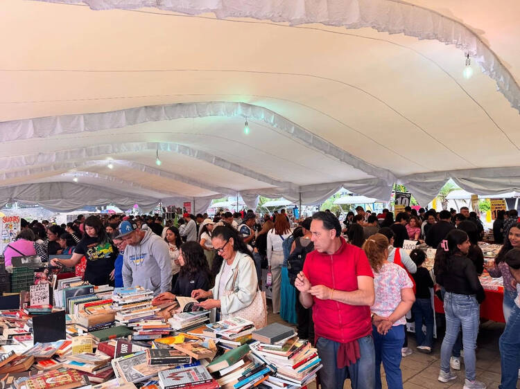 Gran Remate de Libros 2025 CDMX