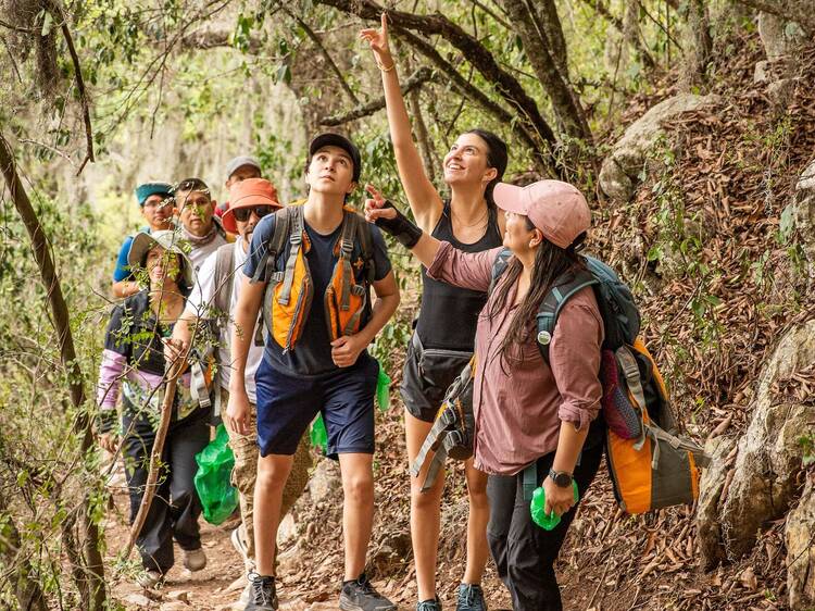 Hike Society: Senderismo con perros