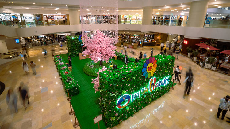 ohana takake pop-up