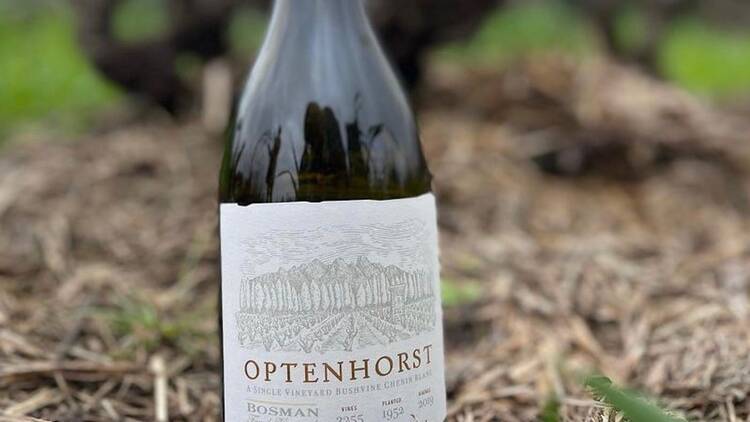 Bosman Family Vineyards Optenhorst