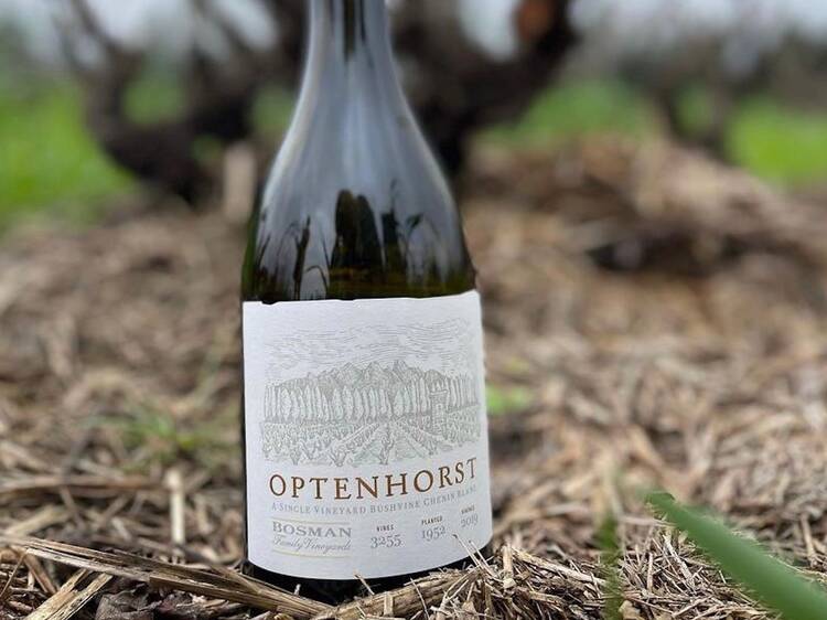Bosman Family Vineyards Optenhorst