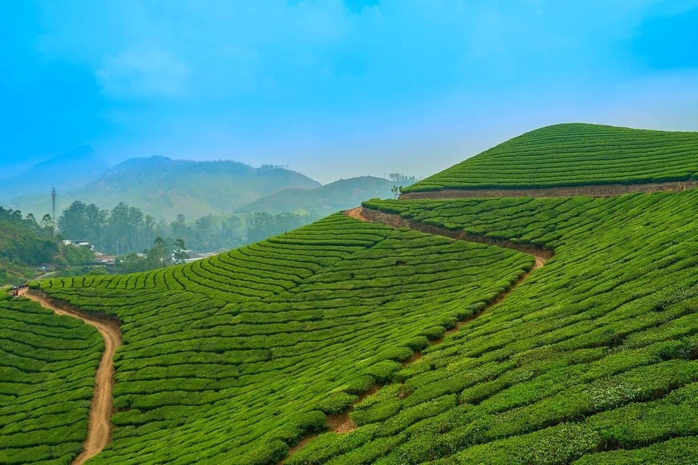 Sri Lanka