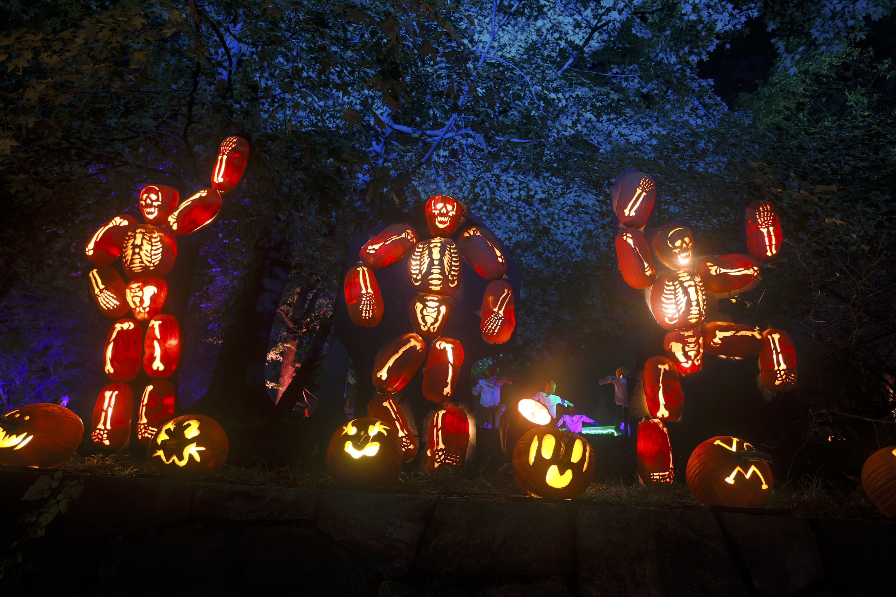Great Jack O'Lantern Blaze Event