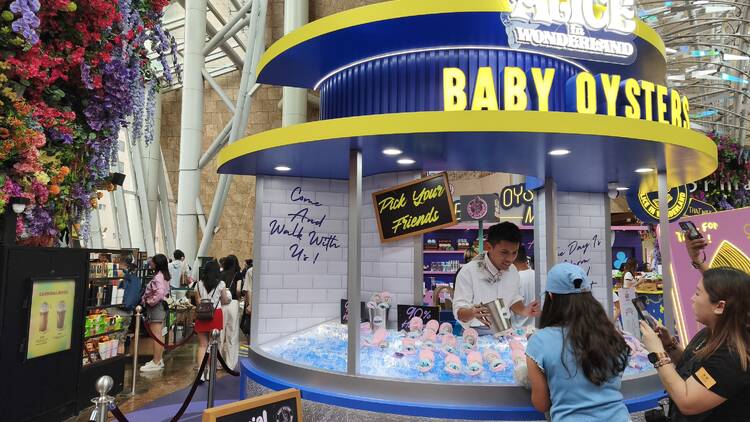 Baby Oysters Mart
