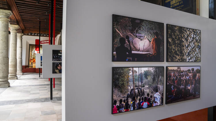 World Press Photo 2025 Museo Franz Mayer 