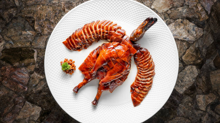 Embark on a gourmet journey