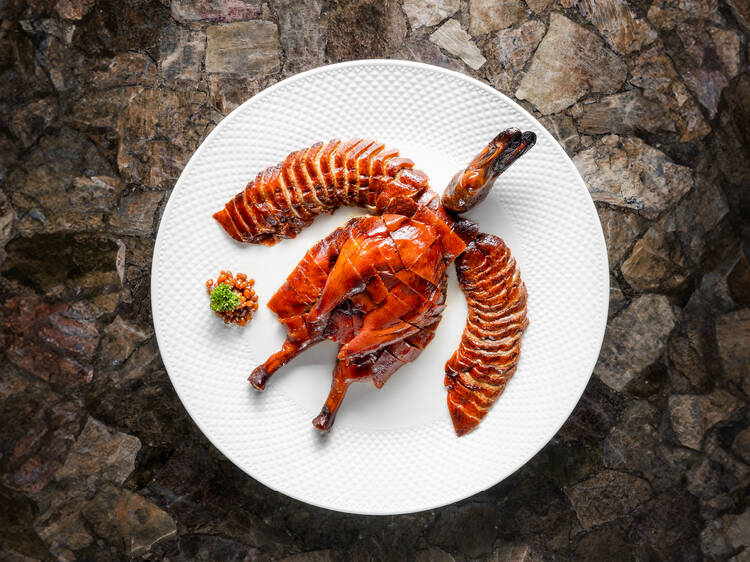 Embark on a gourmet journey