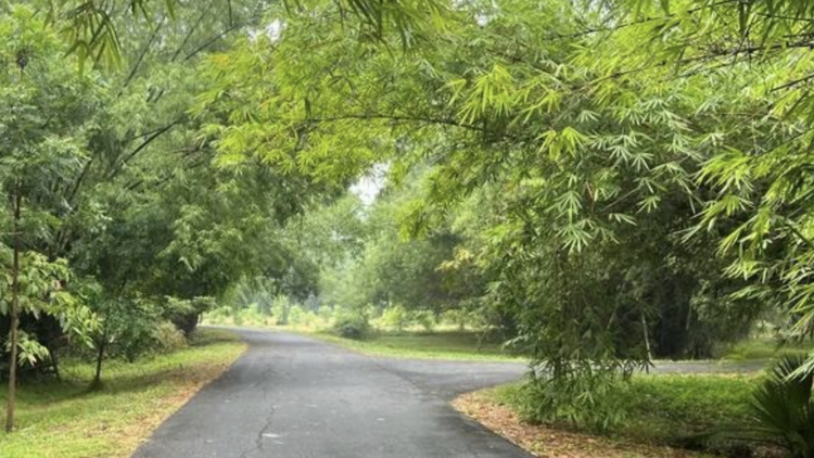 Phutthamonthon Park