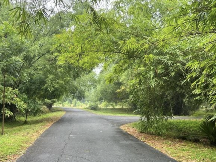 Phutthamonthon Park