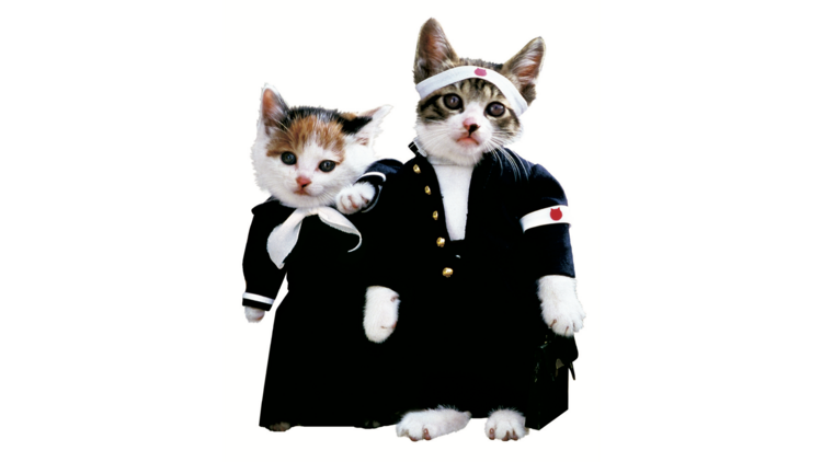 Japanese School Uniform Chronicles: 100 Years of Showa!