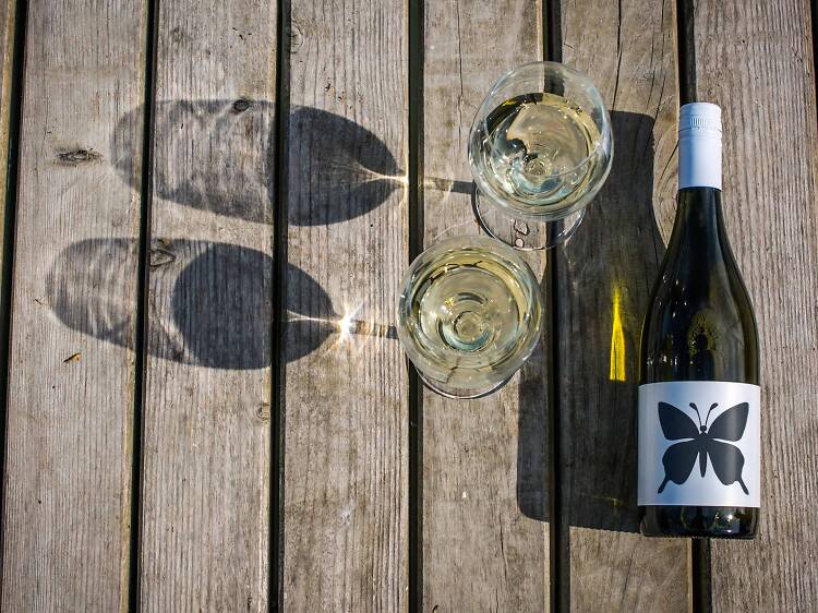 Wines of Hungary