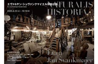 JAN SVANKMAJER　ヤン・シュヴァンクマイエル Amazon.co.jp: ヤン・シュヴァンクマイエル 短編集 [DVD] : ヤン