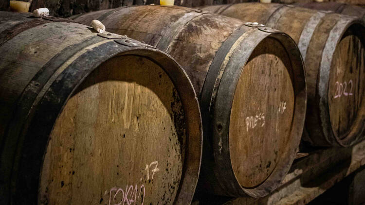 Lined up like silent sentinels, the oak barrels rest shoulder to shoulder in the cool cellar air