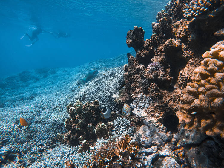 Rowley Shoals, WA