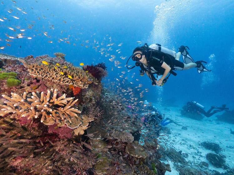 The most incredible places to scuba dive in Australia