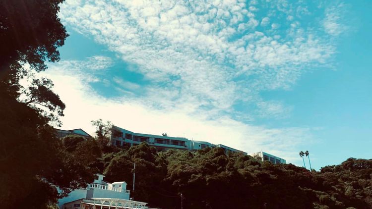 横堀海岸 海の家みなとや