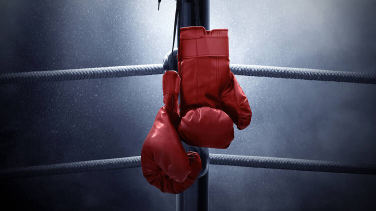 Boxing gloves
