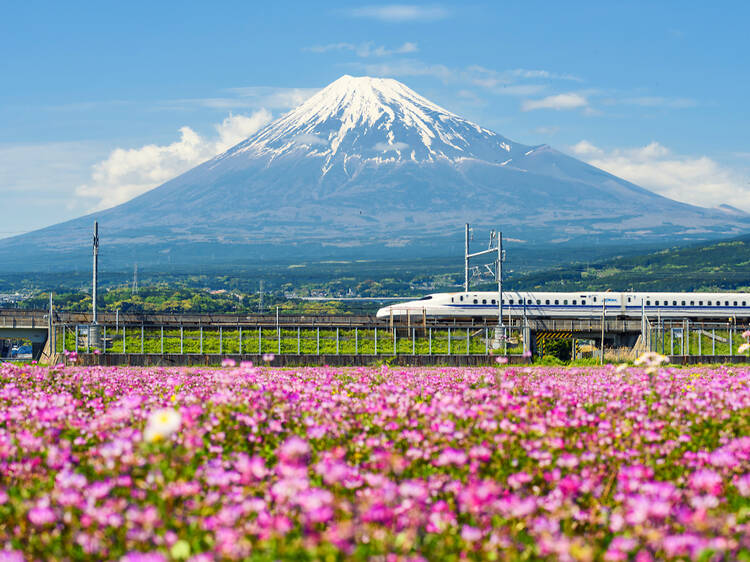 It just got a whole lot easier to travel Japan by train