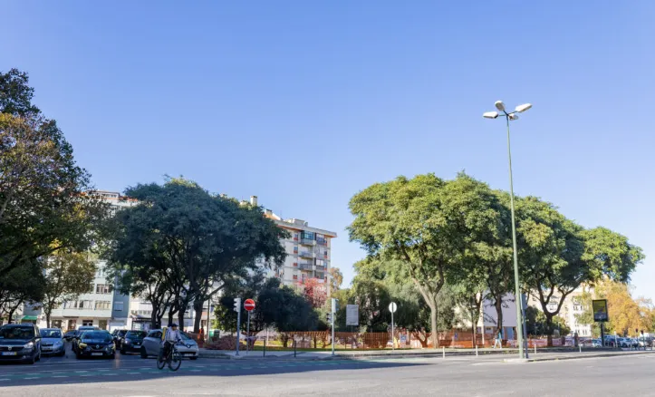 Rotunda das Oliveiras, antes da requalificação