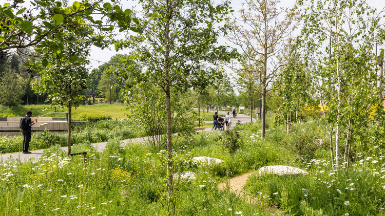 The abundant green space