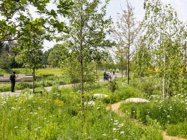 The abundant green space